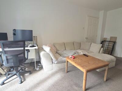 Picture 8